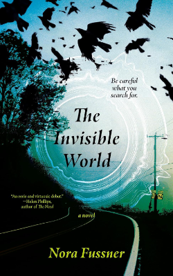 The Invisible World: A Novel by Nora Fussner