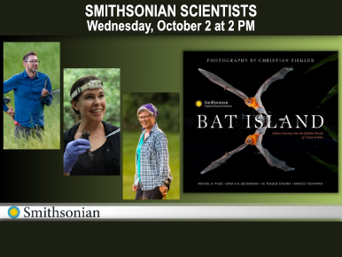 WEDNESDAY, OCTOBER 2, 2 PM. A Journey into the Hidden World of Tropical Bats with Scientists from the Smithsonian Tropical Research Institute.