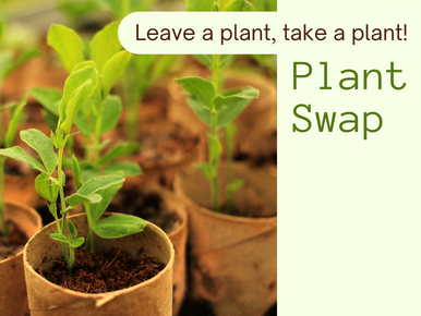 Leave a plant, take a plant! Plant Swap