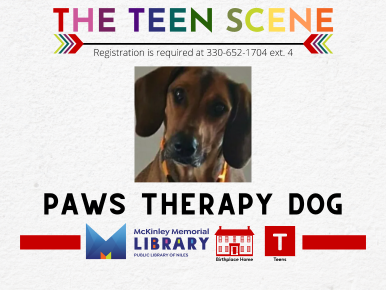 PAWS Therapy Dog